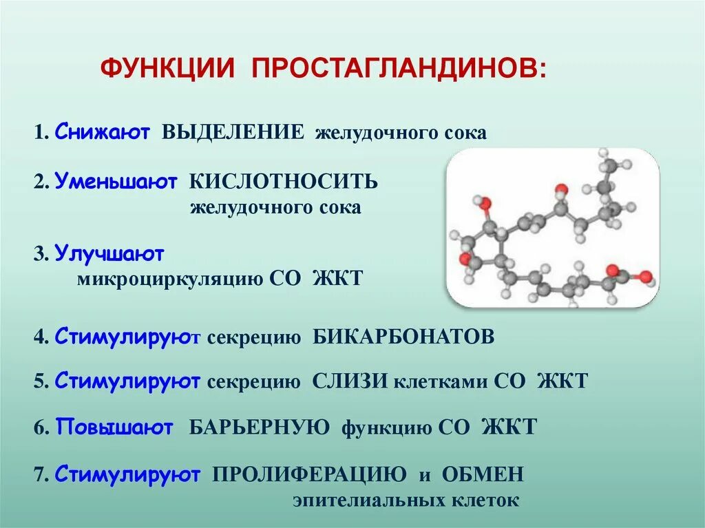 Функции второй группы. Простагландин е2 функции. Простагландины функции. Роль простагландинов. Простагландины функции в организме.