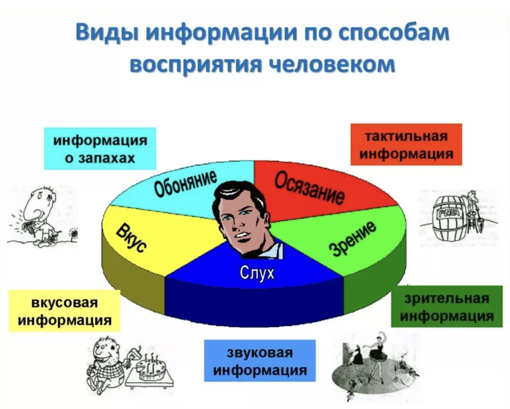 Дайте определение восприятия информации. Виды информации. Информация виды информации. Виды информации по форме восприятия. Способы восприятия информации Информатика.