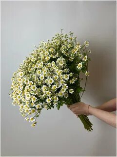 Камила цветочки