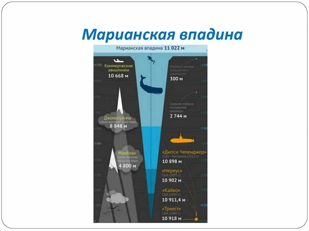 Давление воды на глубине 11 км. Марианская впадина глубина 11022. Марианская впадина схема глубины. Таримская впадина глубина. Вмарианскач падив.