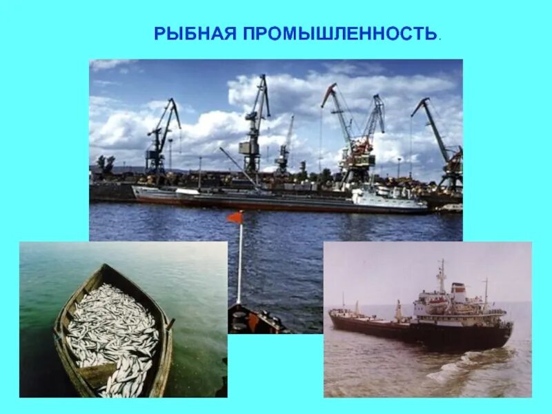 Рыбная промышленность является отраслью специализации. Промышленность дальнего Востока. Отрасли рыбной промышленности. Отрасли экономики дальнего Востока. Рыбная промышленность России.