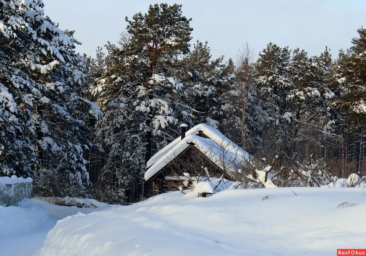 Снежки в кадушке. Снежки в кадушке. Зима она сучила пряжу. Песня зима в избушке. У леса на опушке жила зима в избушке рисунок.