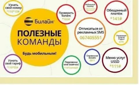 Как узнать телефон билайн команда