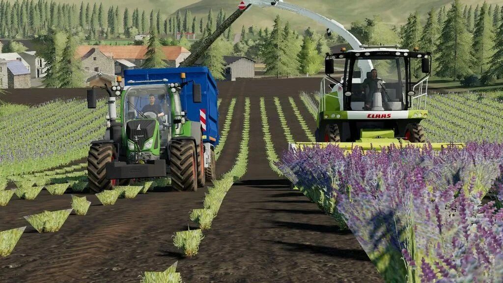 Farming 24