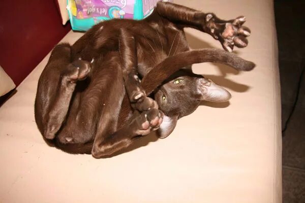 Предпраздничный день. Девушка работает в офисе. Офисный работник. Люди в офисе. Офисный работник.