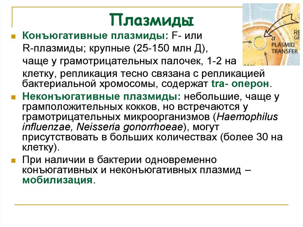 Плазмида это в микробиологии. Неконъюгативные плазмиды. Плазмиды примеры. Структура плазмиды бактерий. К плазмидам относятся