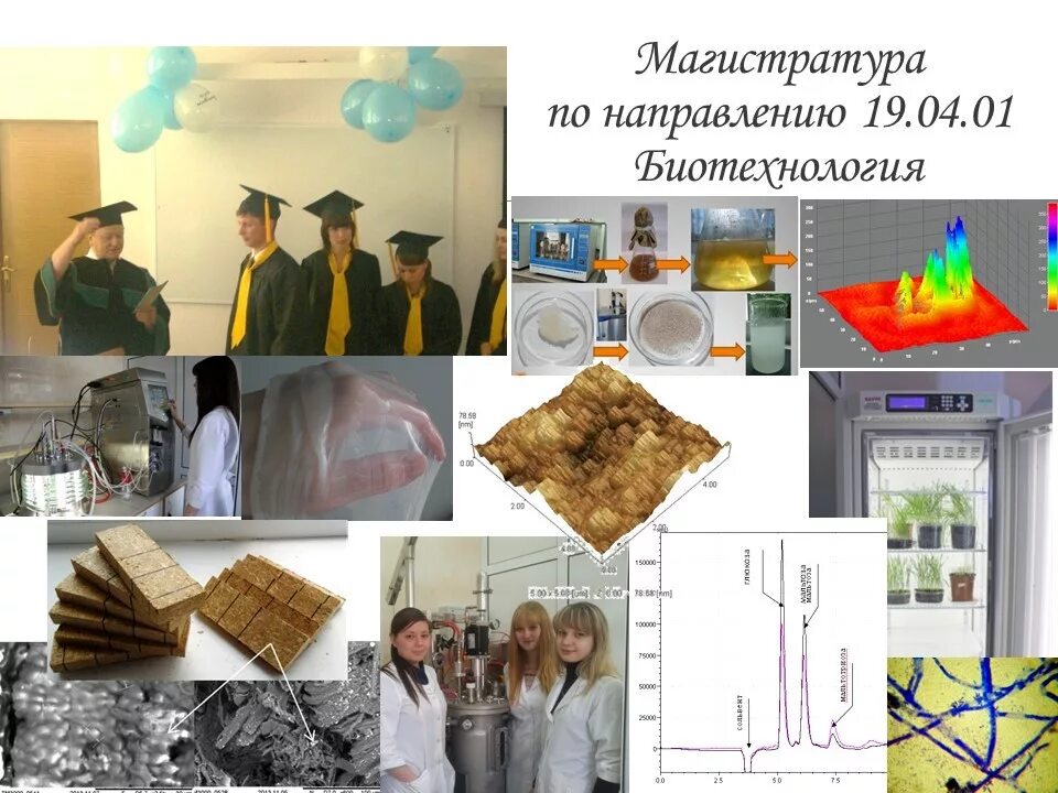 Магистратура биотехнология. Институт биотехнологии Саранск. Биотехнологический Факультет. Биотехнология МГУ. Факультет биотехнологии и биологии.