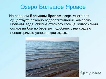 Чем полезна озеро яровое