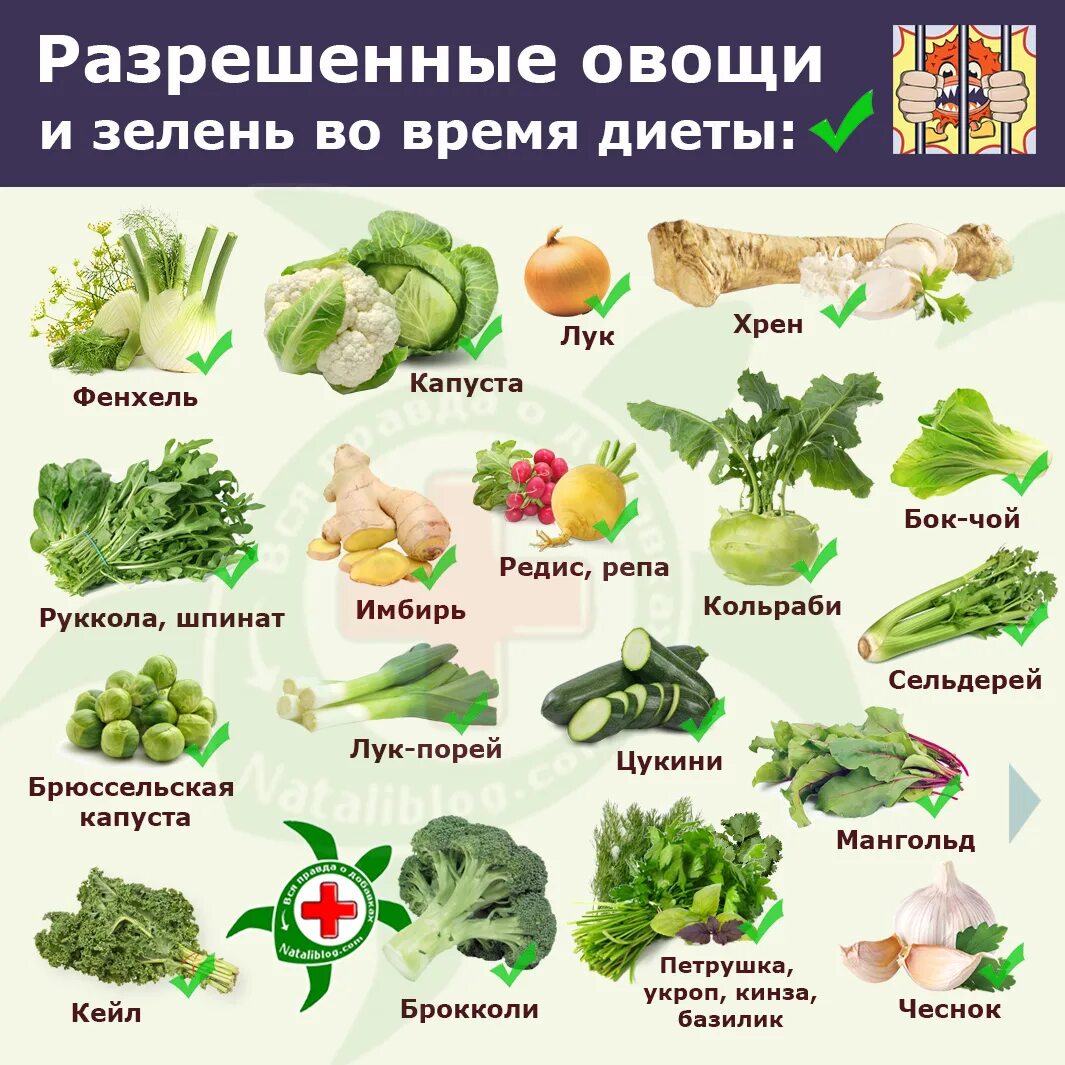 Свежие огурцы при панкреатите поджелудочной железы. Полезные овощи. Фрукты и овощи разрешенные при панкреатите. Овощи список. Разрешенные фрукты при панкреатите.
