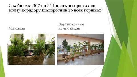 Для озеленения школы купили 102 цветка