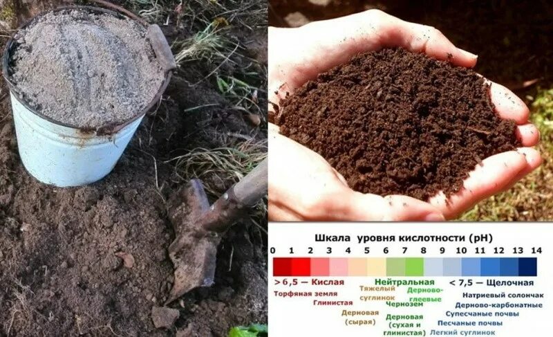 Можно ли использовать использованный грунт
