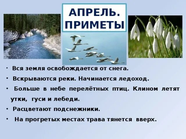 Апрель какой месяц года по счету. Приметы апреля. Приметы апреля для детей. Апрельские приметы. Приметы апреля народные.