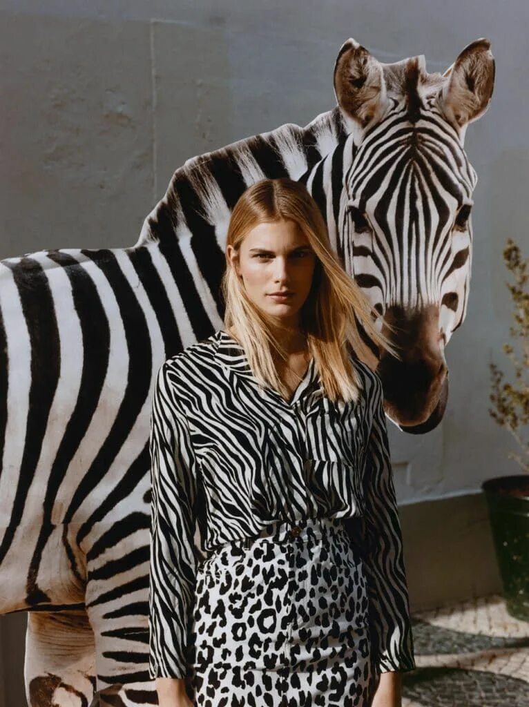 Animal fashion. Вог с животными в модных одеждах. Картье леопард. Платье с зебровым принтом. Мод на животных.