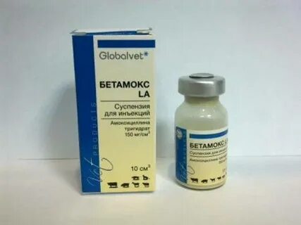 Какие антибиотики собаке