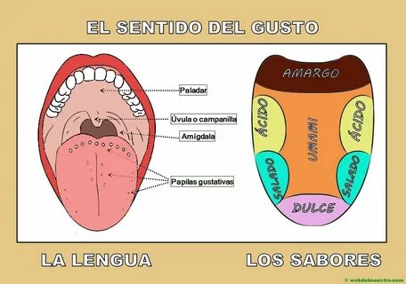 Los gustos