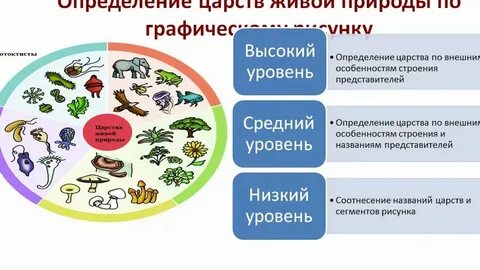 Жизнь на земле 5 класс естествознание