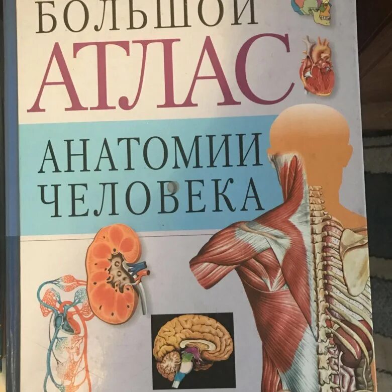 Анатомия книги атласы. Большой атлас анатомии человека | Перез Винсент. Большой атлас анатомии человек анатомические таблицы. Анатомия человека атлас Куприна. Книга атлас анатомии человека.