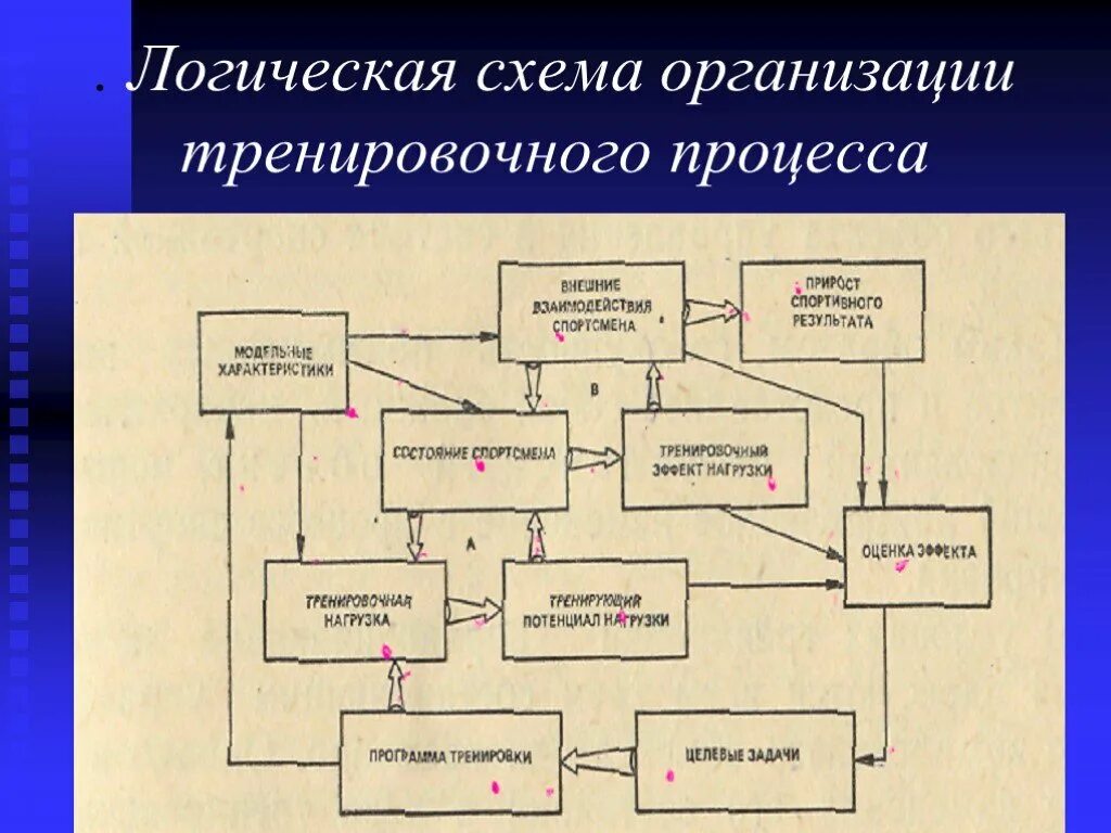 Логическая система организации. Схема тренировочного процесса. Логическая схема предприятия. Схема организации тренировочного процесса. Схема управления тренировочным процессом.