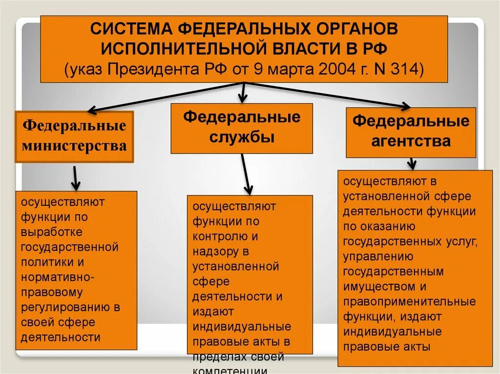 Исполнительная власть например