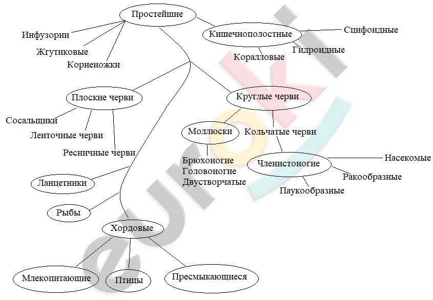 В каких направлениях шла эволюция трехслойных