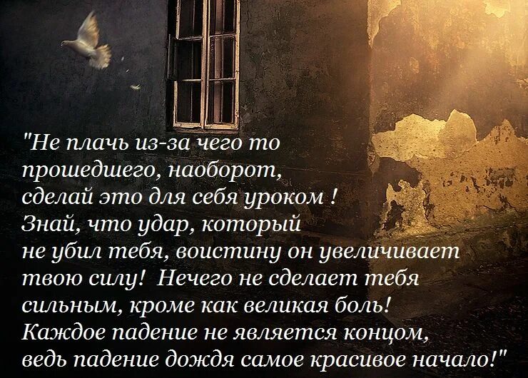 Мусульманские цитаты со смыслом. Исламские цитаты. Исламский статус со смыслом про жизнь. Мусульманские статусы со смыслом. Красивые исламские статусы.