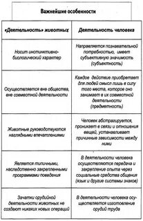 Активность и деятельность различие