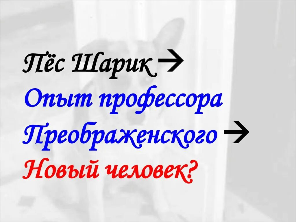 Почему эксперимент профессора преображенского не удался