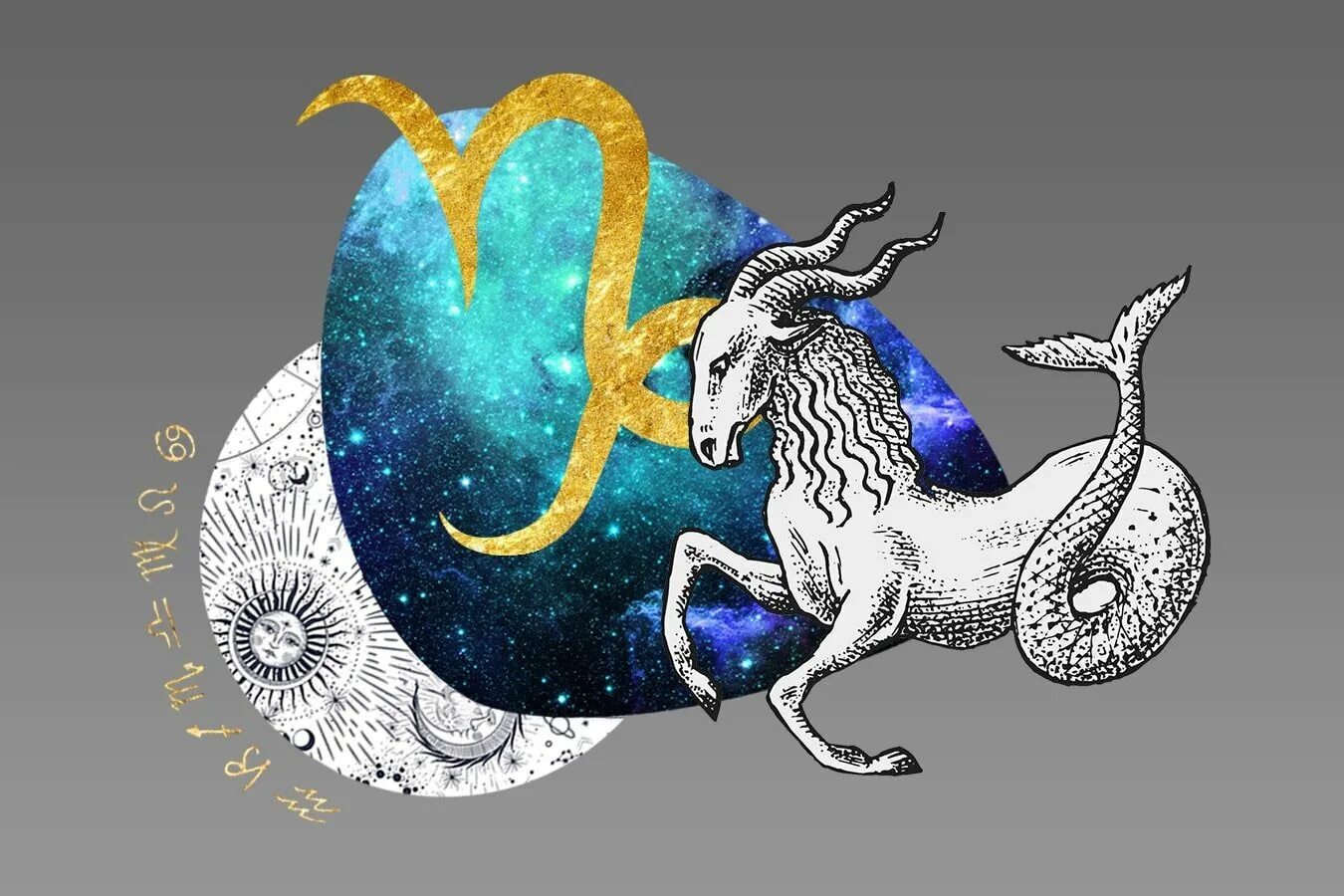 Как выглядит козерог. Capricorn (козерог). capricorn знак зодиака. козерог картинки красивые. красивый знак козерога.