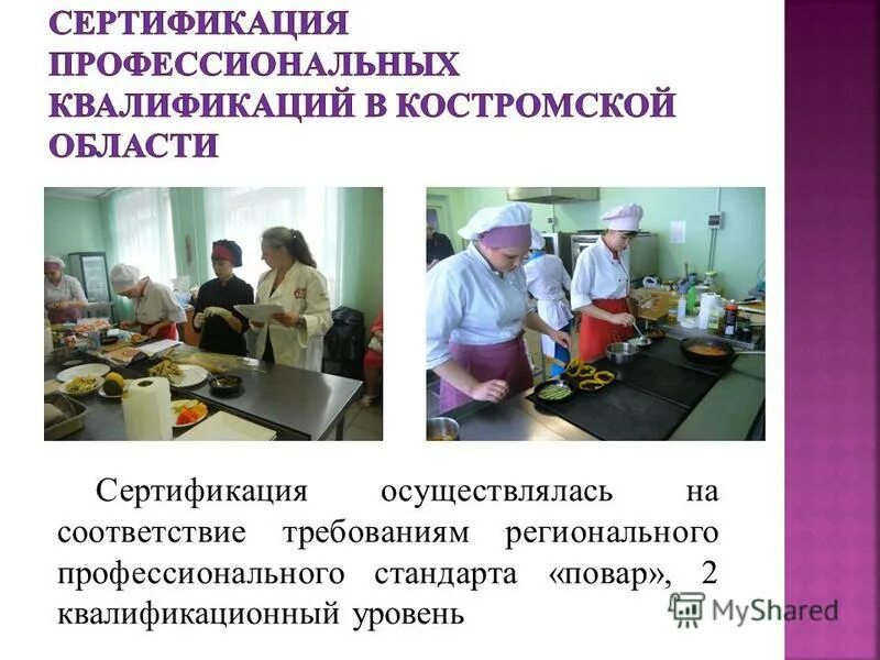 Профстандарт повара в доу. Профстандарт повара в доу