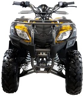 Atv grizlik