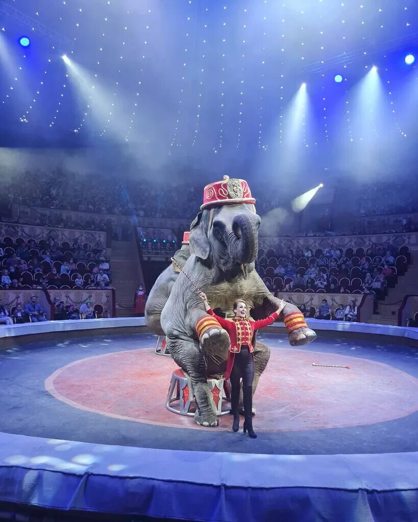 арена цирка на фонтанке. цирк на фонтанке спб. большой санкт-петербургский государственный цирк, санкт-петербург. цирк чинизелли санкт-петербург. цирк на фонтанке спб.