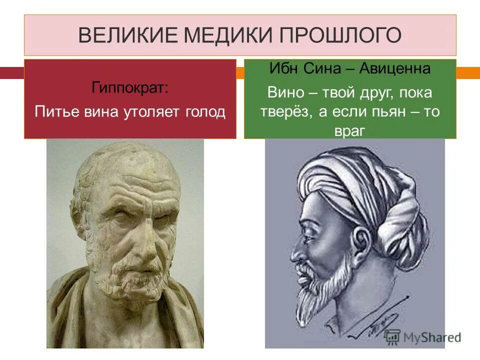 архимед евклид пифагор фалес. гиппократ и авиценна. абу али ибн сина авиценна. абу али ибн сина спокойствие. гиппократ и авиценна.
