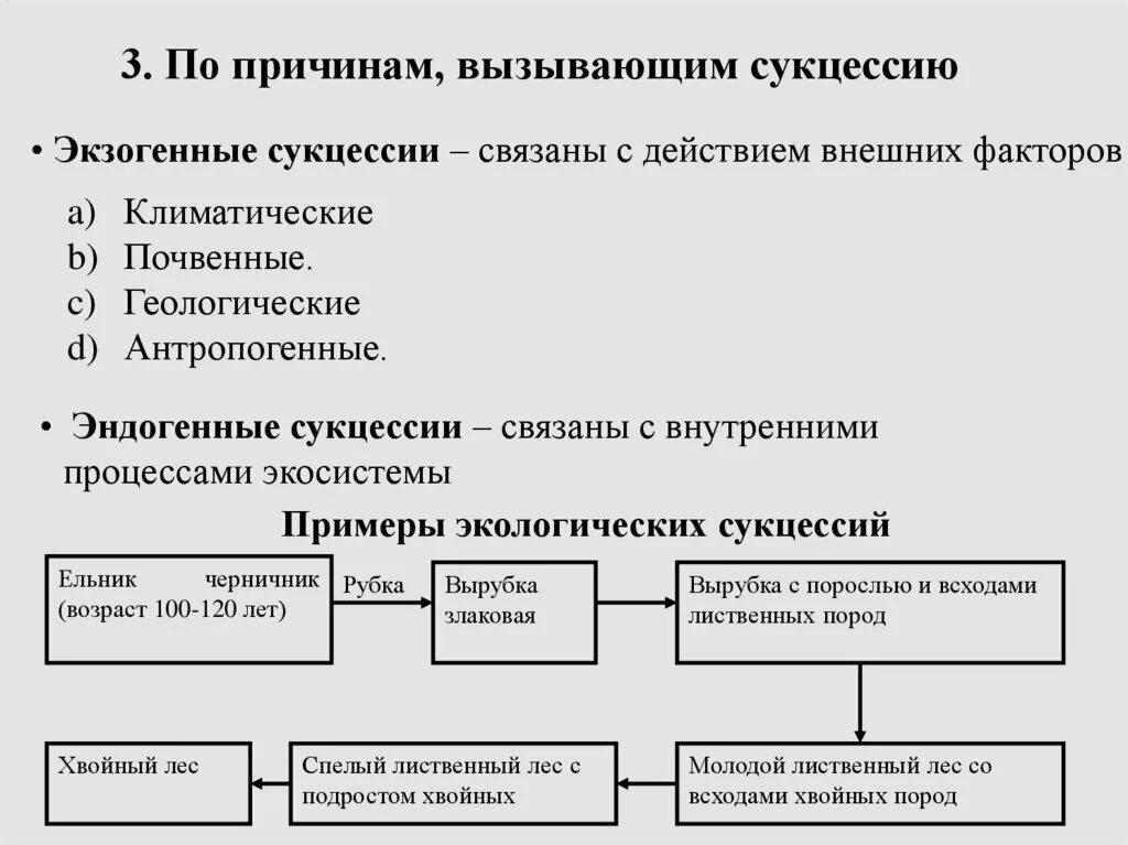 Установите соответствие между примерами и типами сукцессий
