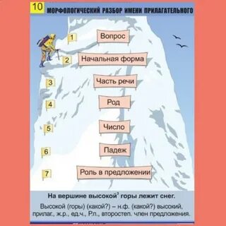 Вершины морфологический