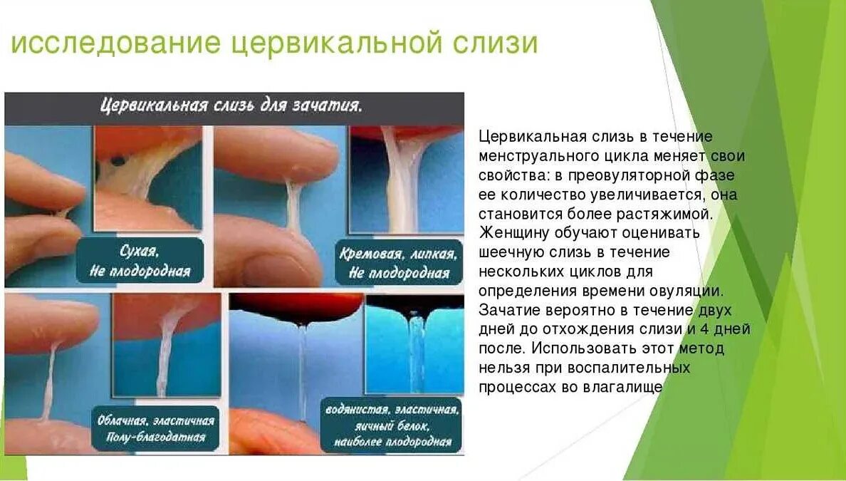 Как определить есть ли у девушки