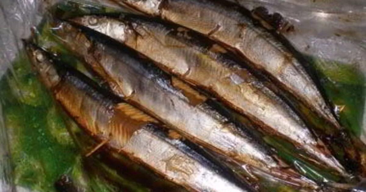Салака рецепты копчения. Салака рецепты копчения. Салака рыба копченая. Салака холодного копчения. Рыба салака холодного копчения.