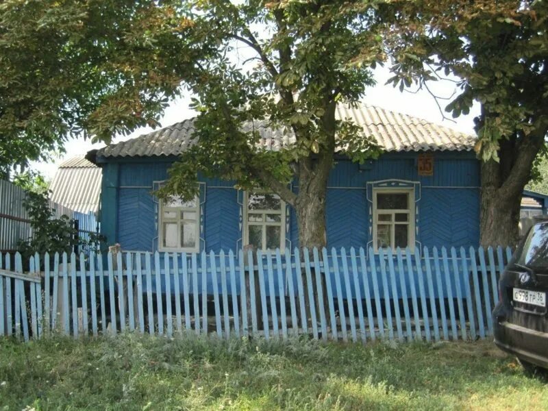 Гремячье воронежская область дома. Гремячье (Хохольский район). Село Гремячье Хохольского района. Гремячье ул Пролетарская. Дмитриевка Воронежская область.