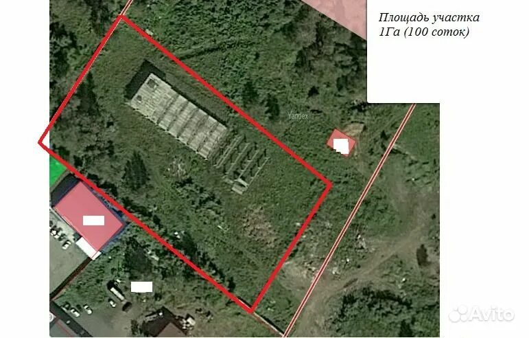 участок 100 соток. бронницы южное полесье. 100 соток земли фото. деревня захарово тверская область селижаровский район. поселок бактин.