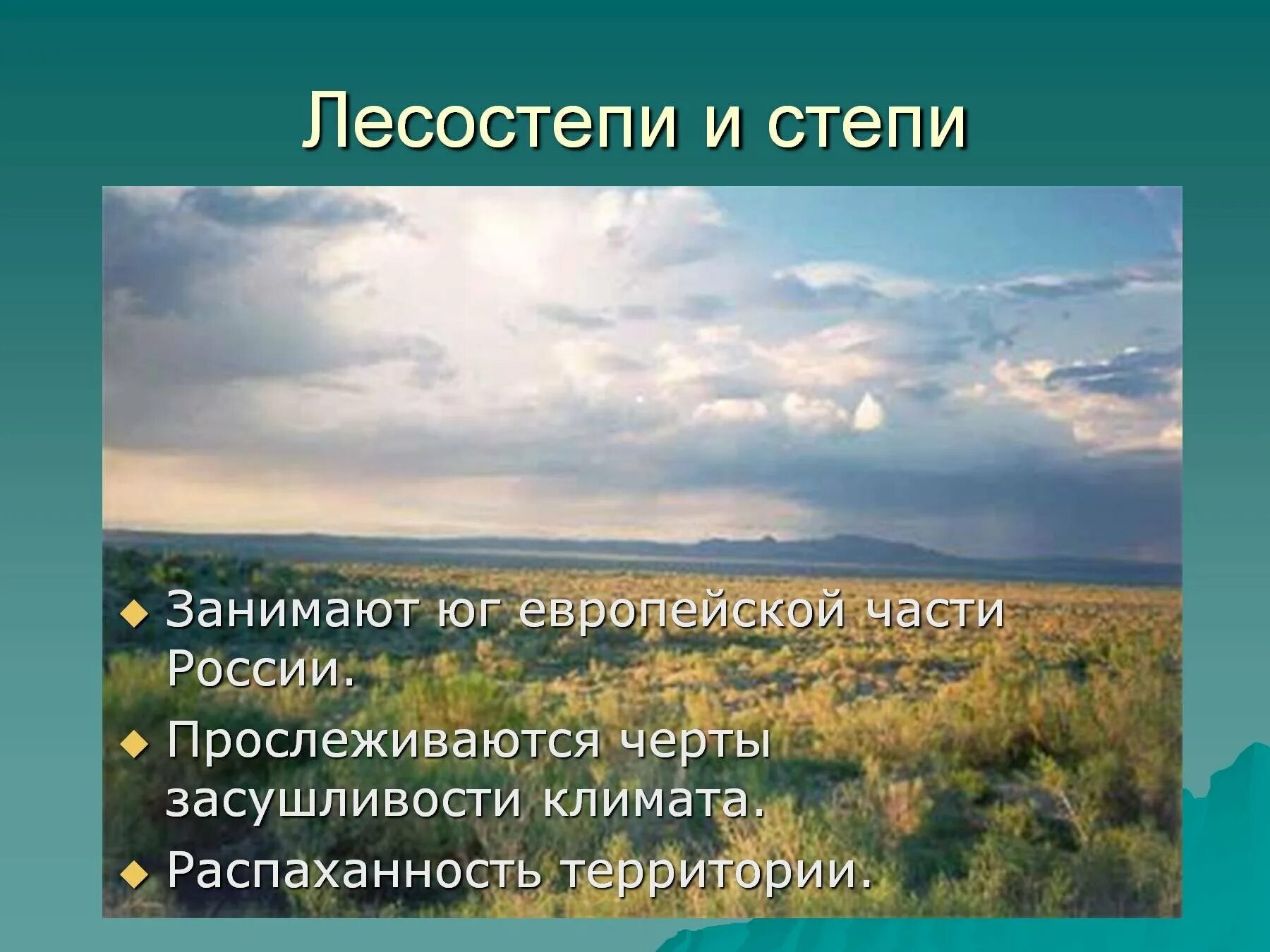 Степь россии характеристика природной зоны