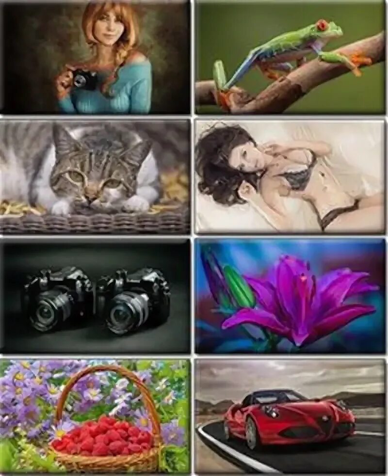 Сайт с красивыми фотографиями на разные темы. На разные темы то. На разные темы то. На разные темы то. На разные темы то.