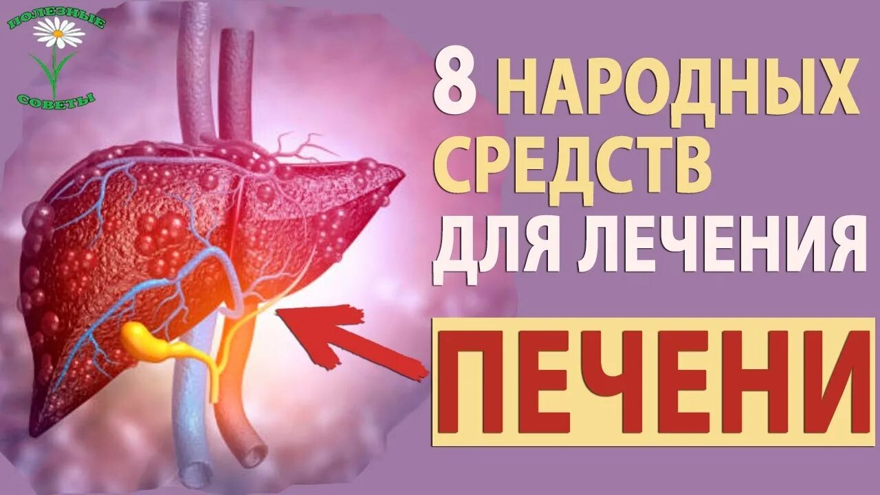 Народные средства для печени. Восстановление печени народными. Лечение печени народными средствами. Народный метод восстановления печени.