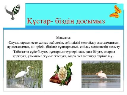 Ішектегі дилдоға отырады