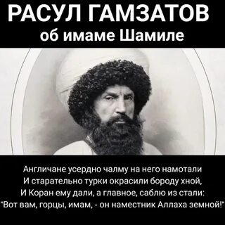 Где больше всего папах