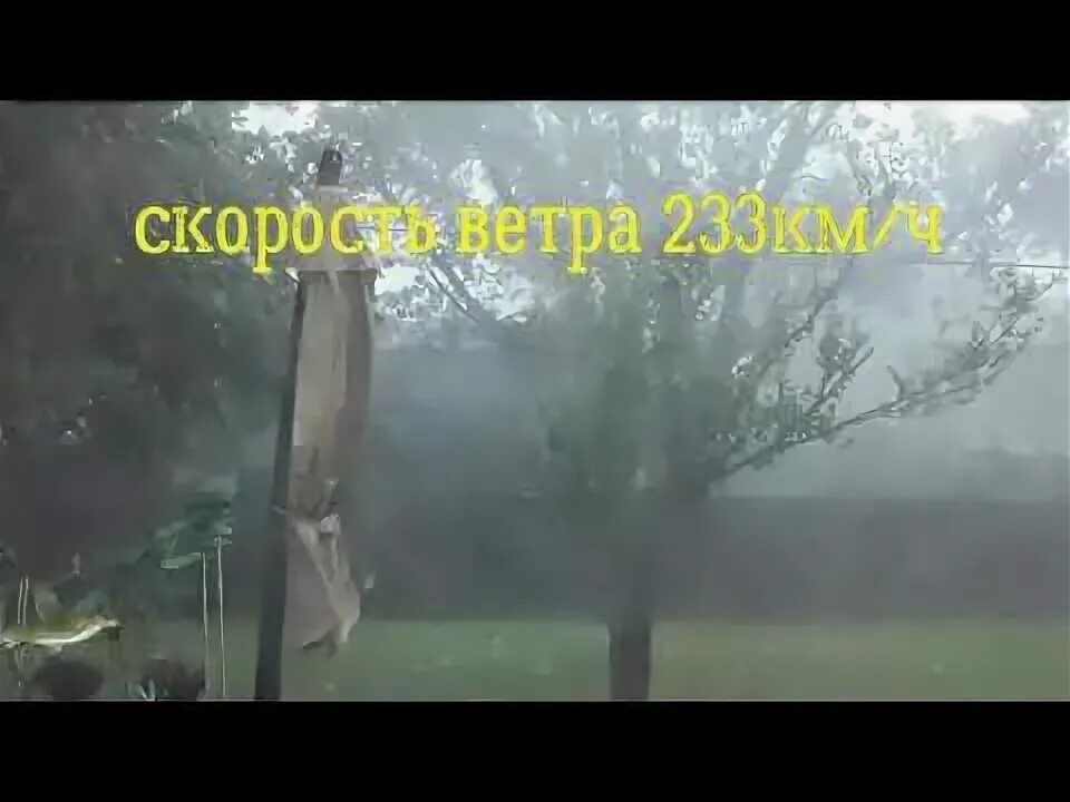 Сравните три ситуации ураганный ветер валит. Сравните три ситуации ураганный ветер валит. 2013. Сломанный ураганом дуб. Сравните три ситуации ураганный ветер валит.