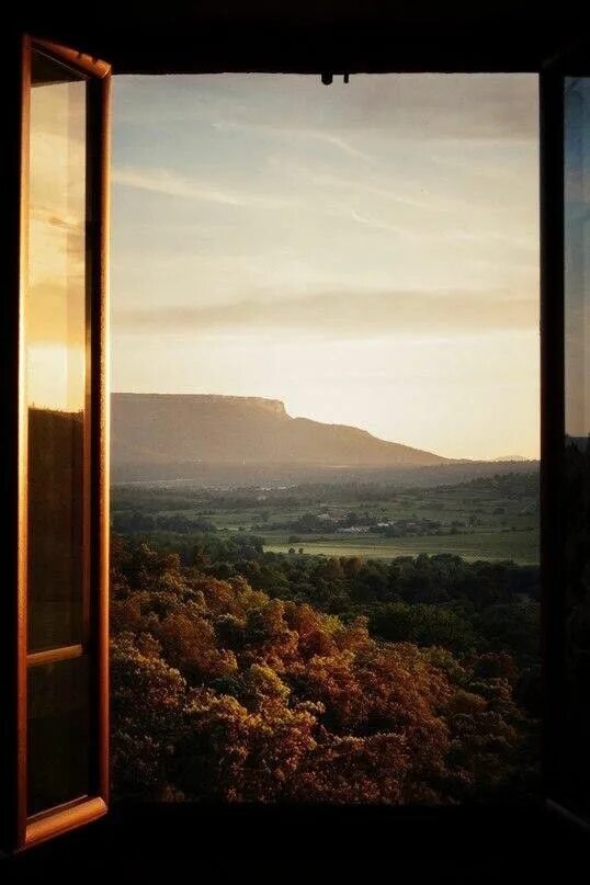 View from the window