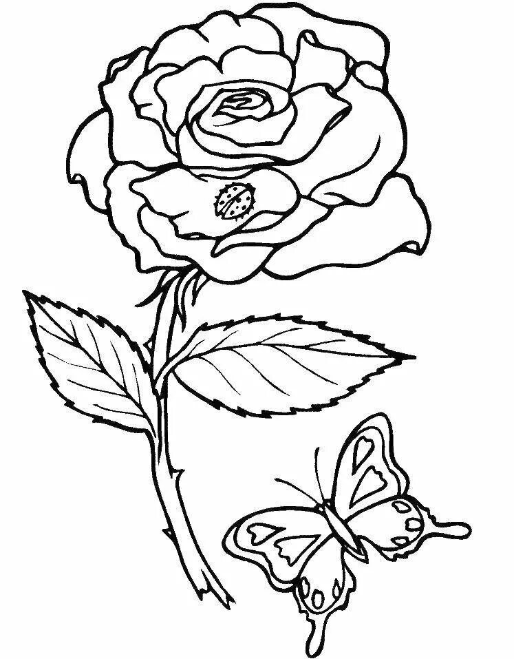 Роза раскраска. Роза раскраска для детей. Раскраски для девочек цветы. Раскраска роза цветок.