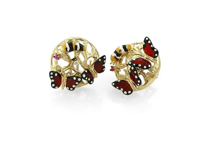 Roberto bravo интернет