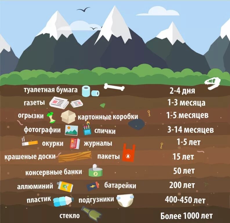 Через сколько разлагается. Сколько разлагается мусор. период разложения отходов. как долго разлагается мусор. разложение мусора в природе.
