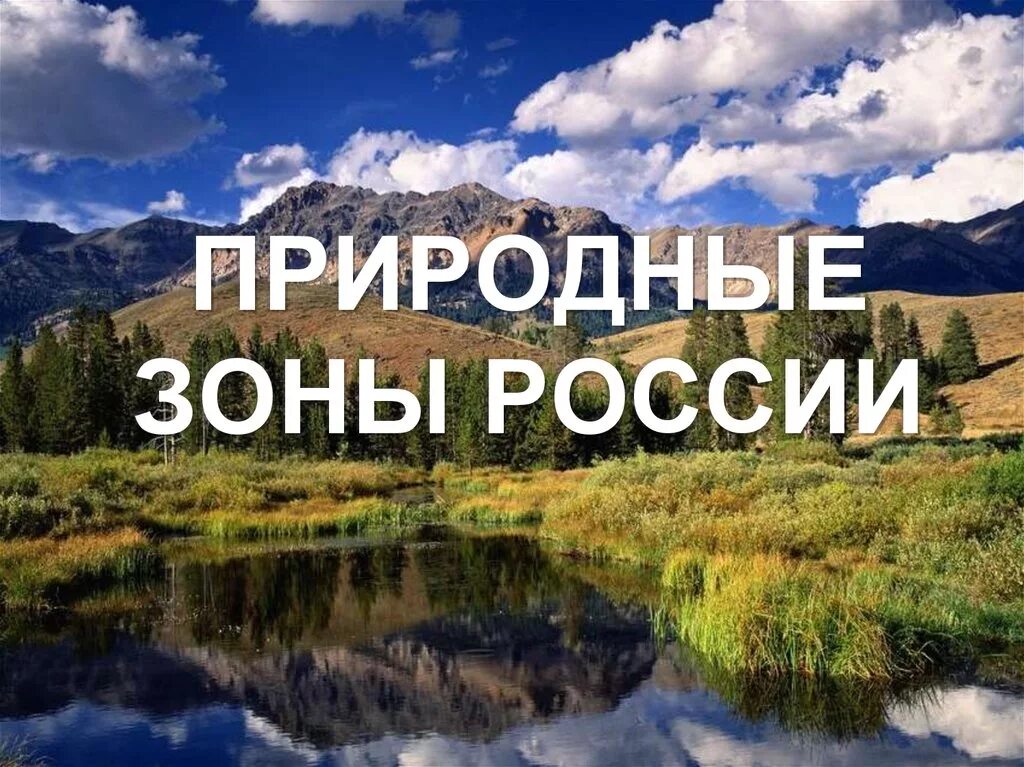 Природные зоны фото 4 класс. Природные зонымроссии. Природные зоны. Природныеизоны России. Природные зоны России презентация.