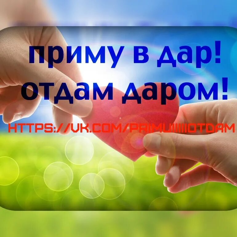 Срочно отдавать. Срочно отдавать
